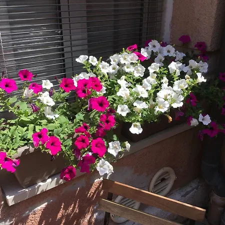 Daire Cannaregio Ii Venedik